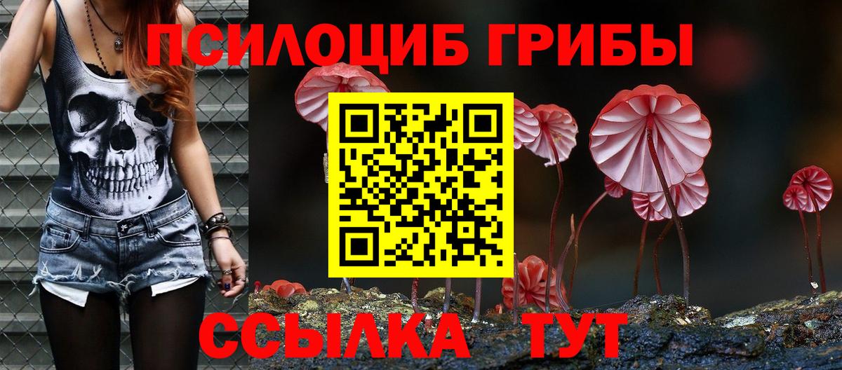 Галлюциногенные грибы мицелий Воскресенск