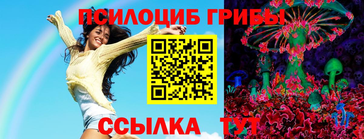 Псилоцибиновые грибы Cubensis  где купить   Воскресенск  Вход с VPN 